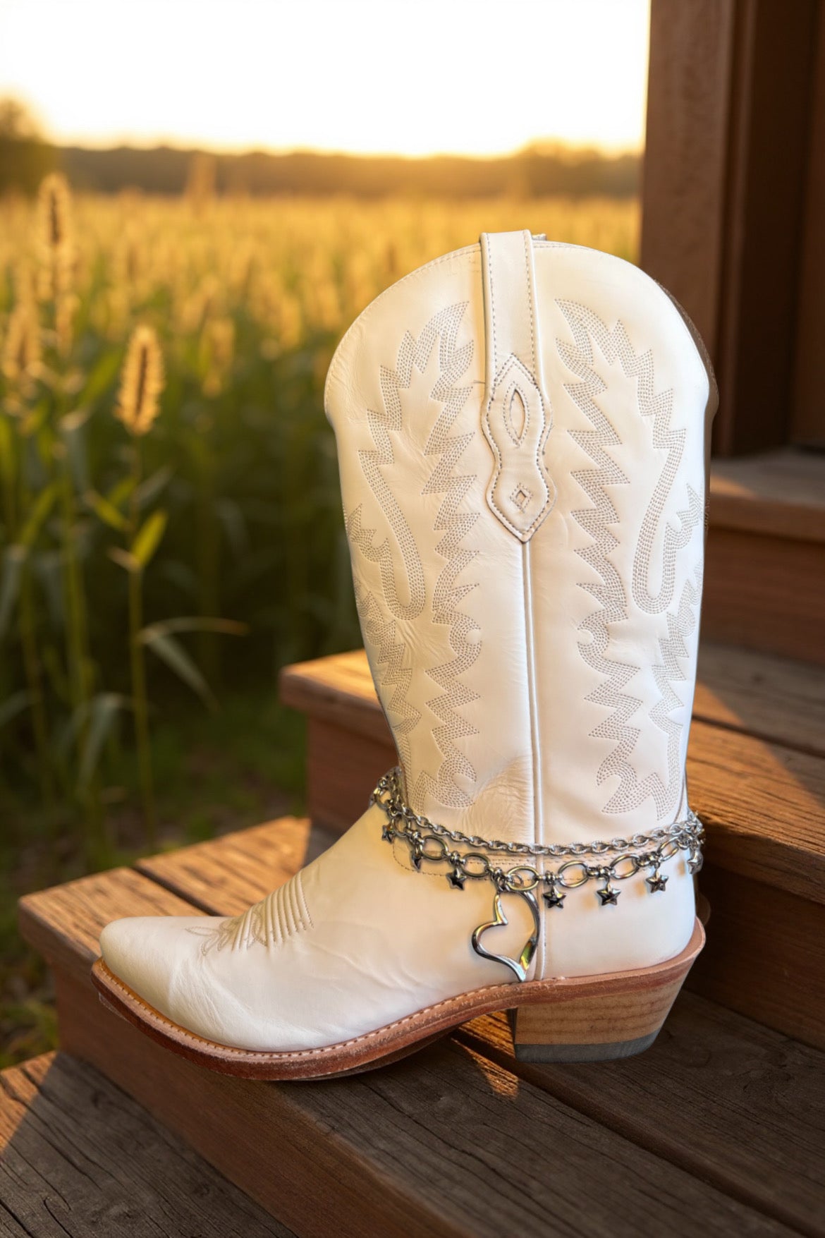 Cavigliera per stivale in acciaio